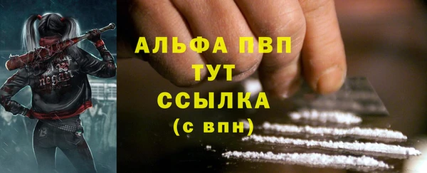 PSILOCYBIN Алексеевка