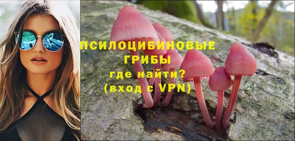 спиды Алексин