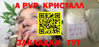 ECSTASY Новозыбков