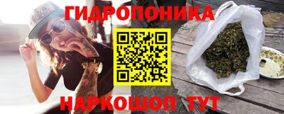 ECSTASY Новозыбков