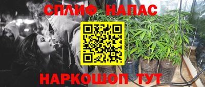 ECSTASY Новозыбков