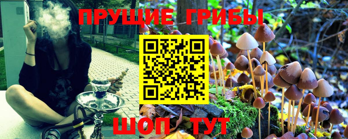 Псилоцибиновые грибы мицелий  Вход с VPN  Уссурийск 